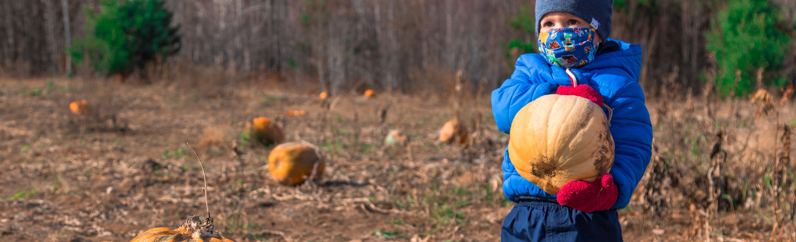 A young boy wearing a mask holding up a pumpkin.