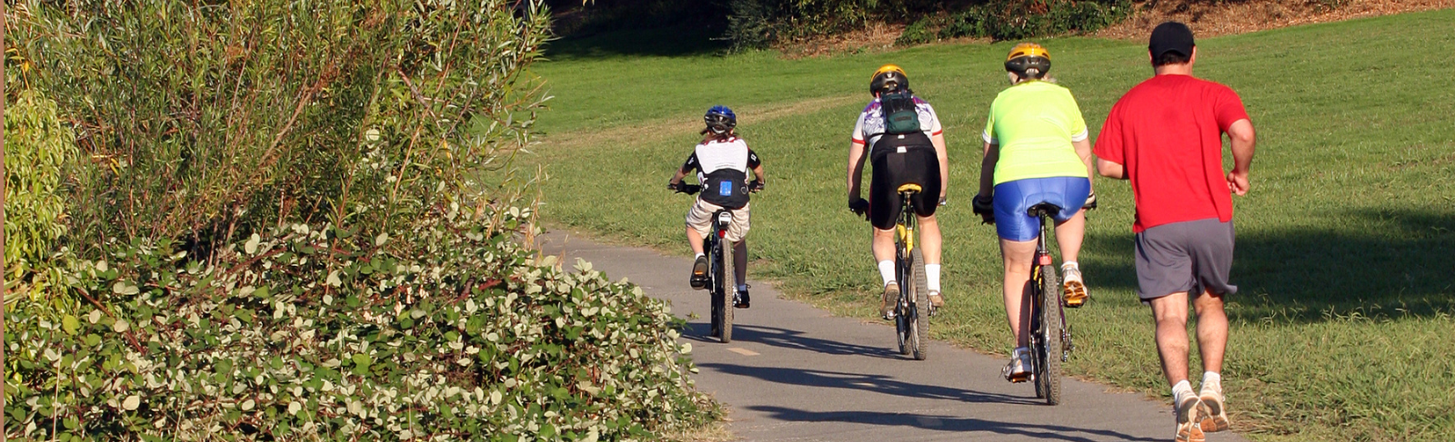 Three people on bicycles and a person running on a multi-use paved path alongside fields and trees.