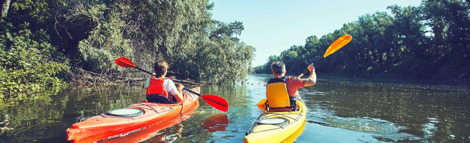 Two kayakers paddling in Algonquin Park.