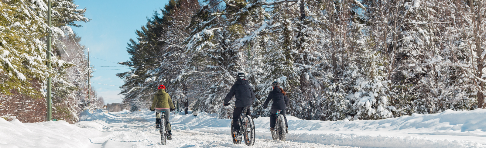 Three people fat biking. 