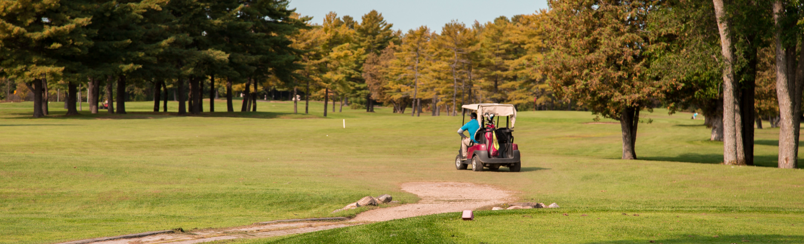 A golf cart on a golf course.