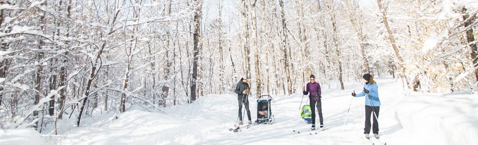 Three people cross-country skiing.