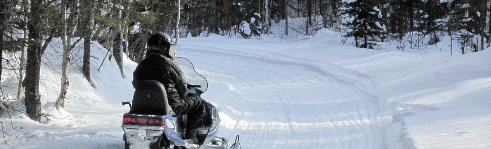Person driving a snowmobile on a white snow path in the forest.