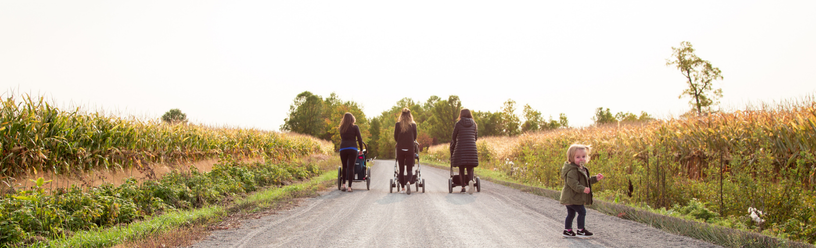 A group of girls and a little girl walking on a crusher dust trail with corn fields on either side.