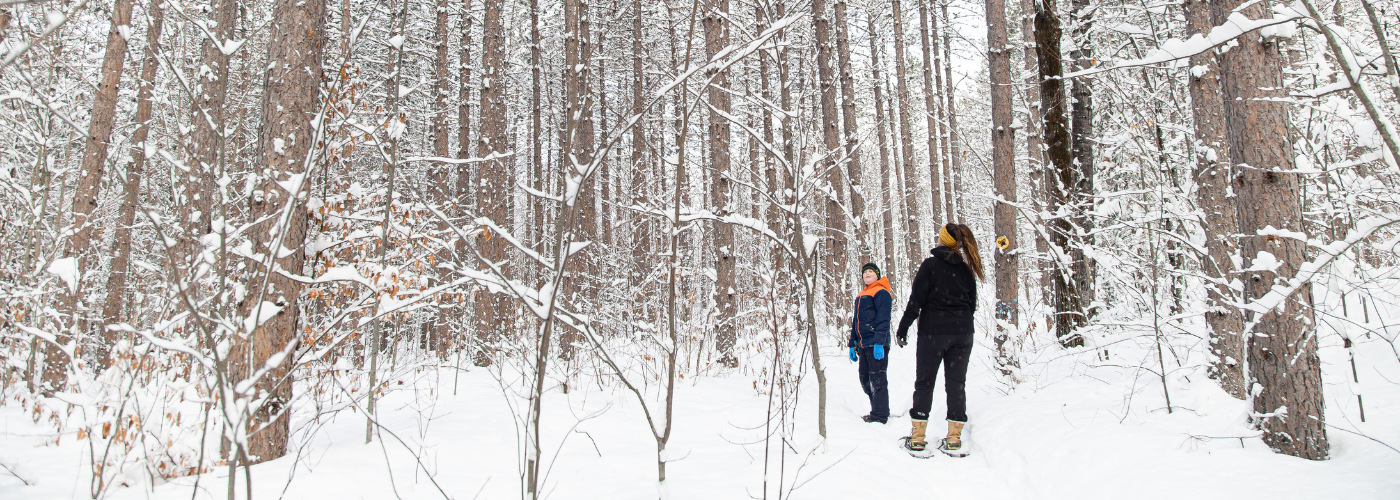 Two people snowshoeing.
