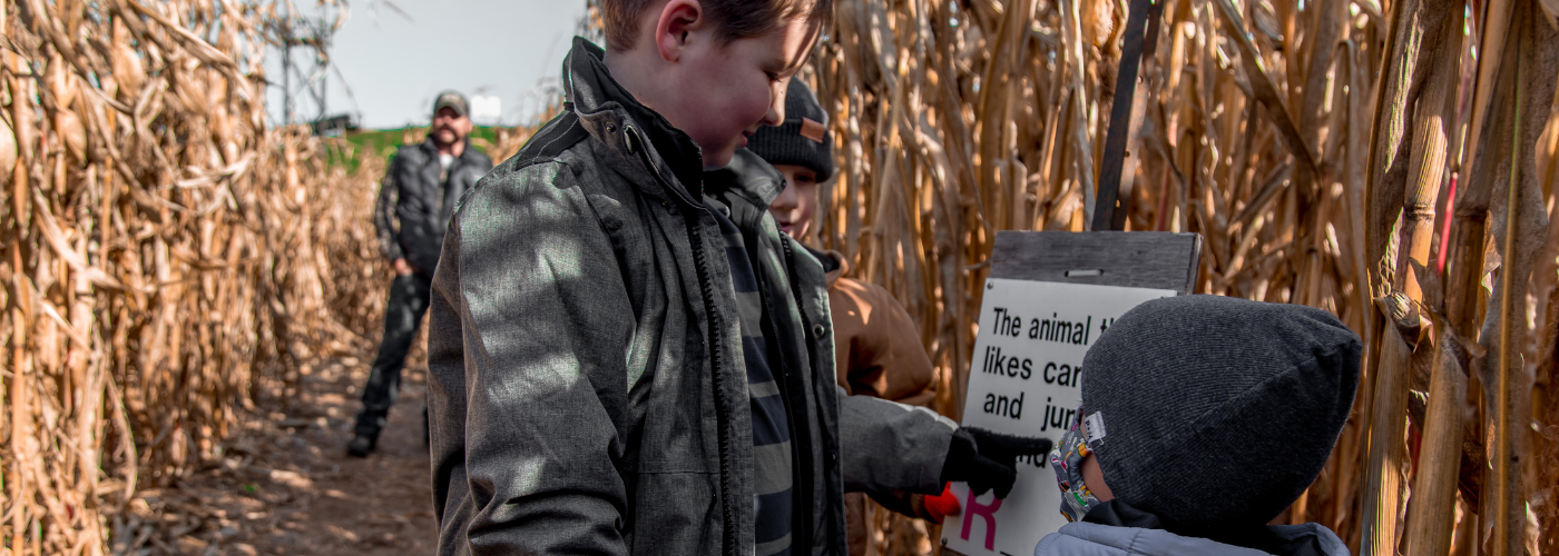 Boys looking at a clue in a corn field maze.