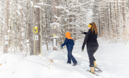 Two people snowshoeing at Forest Lea Trails.