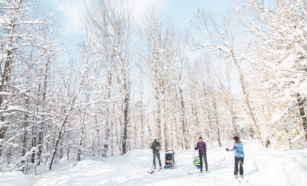 A group of people cross country skiing.