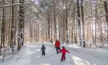 A group of people skating.