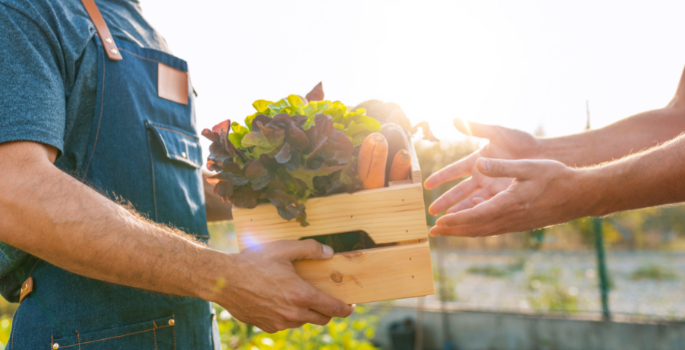 A person passing a box of fresh produce to another person.
