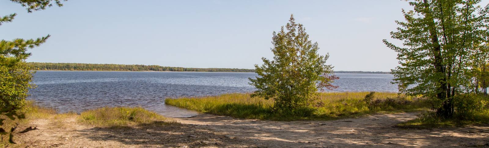 Bank of the Ottawa River from George Matheson Park.