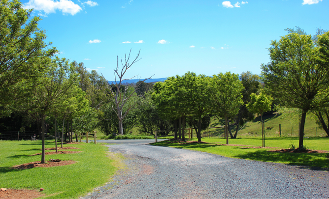Laneway entering a property.
