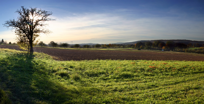 Open field with small mountains in the background.