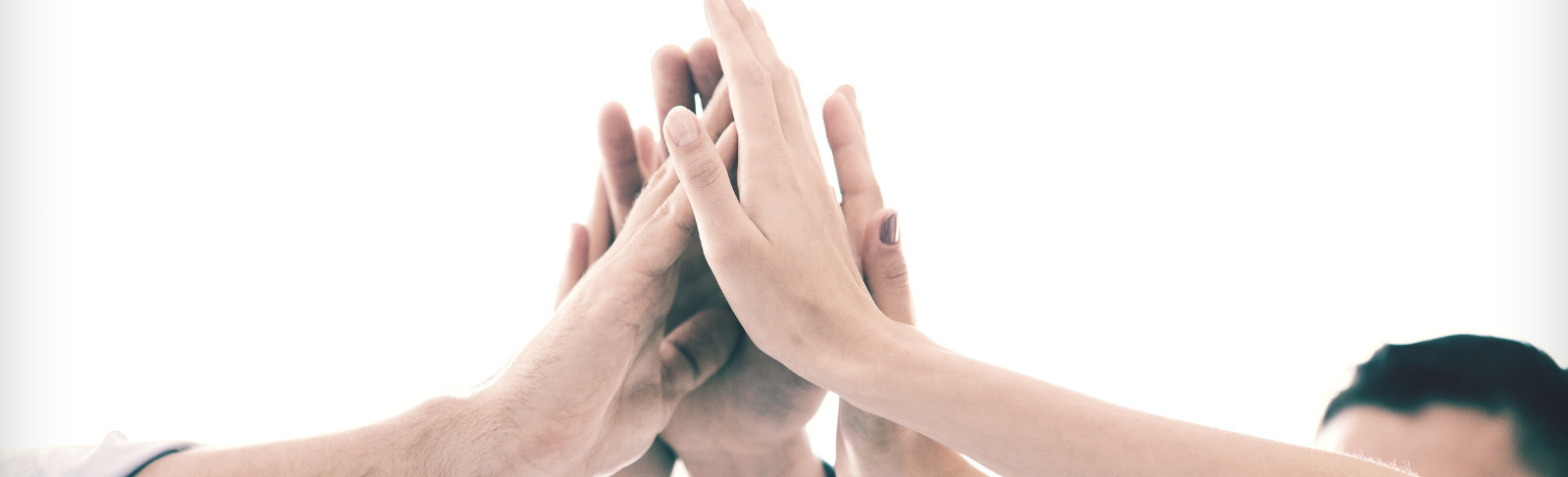 A group of hands high fiving.