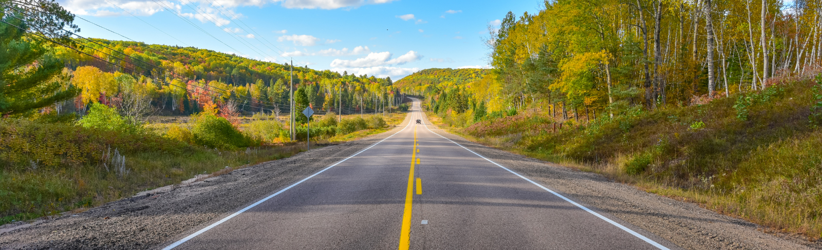 An open road in the summer time. 