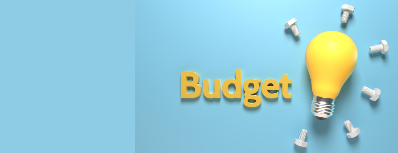 Graphic with the word Budget and a lightbulb.