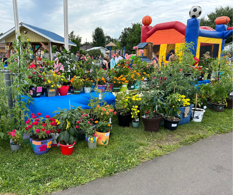 Photo of the 84 plants submitted for the Junior Gardeners Competition.