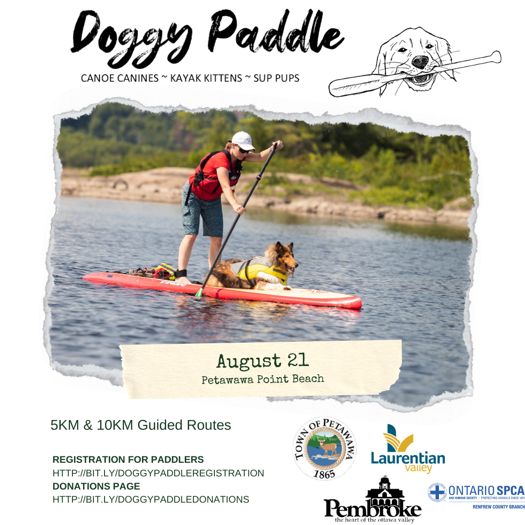 Graphic announcing the new Doggy Paddle event details.