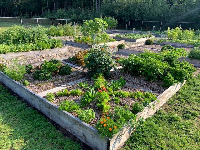 Community Garden plot at Shady Nook.