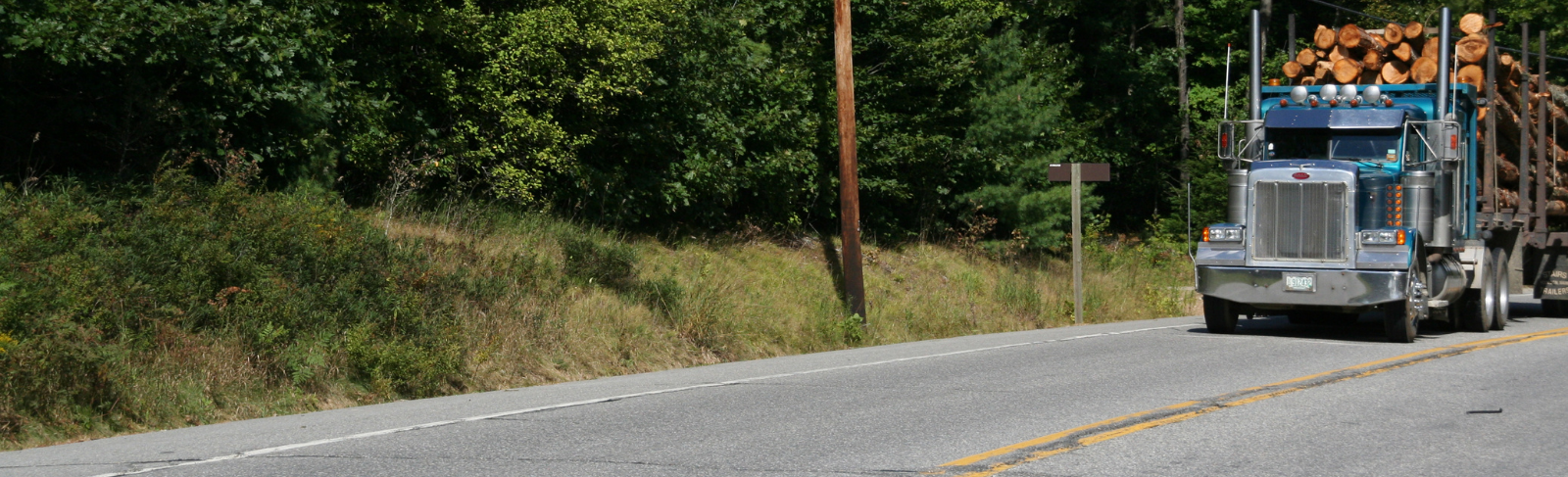 Logging truck driving on a paved road.