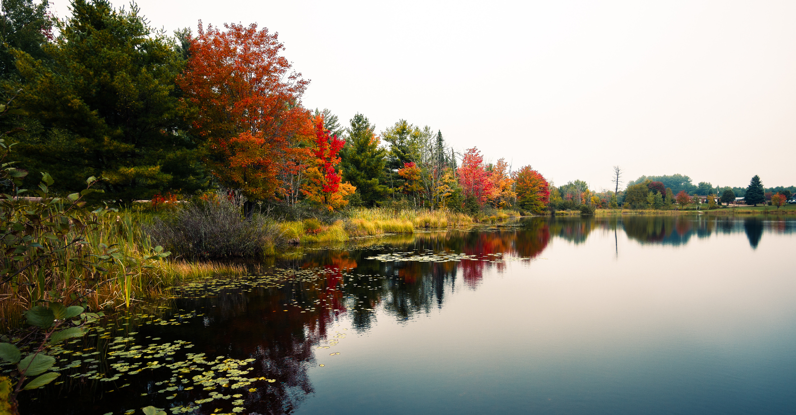 Changing tree leaves along a lake with the reflection of the trees in the water.